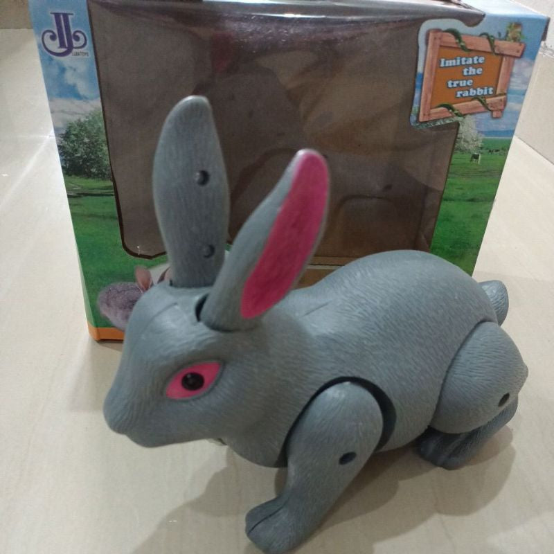 PREDATOR DIY Childhood Dream Rabbit Track Playset – Premium Kids Educational Toy by Electro-Mania
